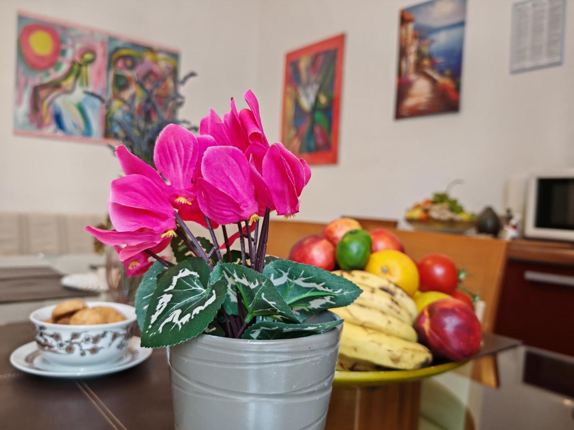 ***Apartment Magic &Summervibes*** 리예카 외부 사진